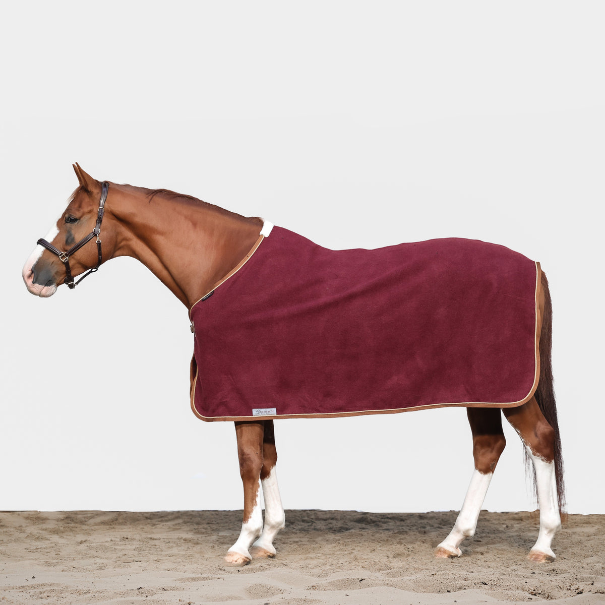 Dominick Wool Rug Iconic