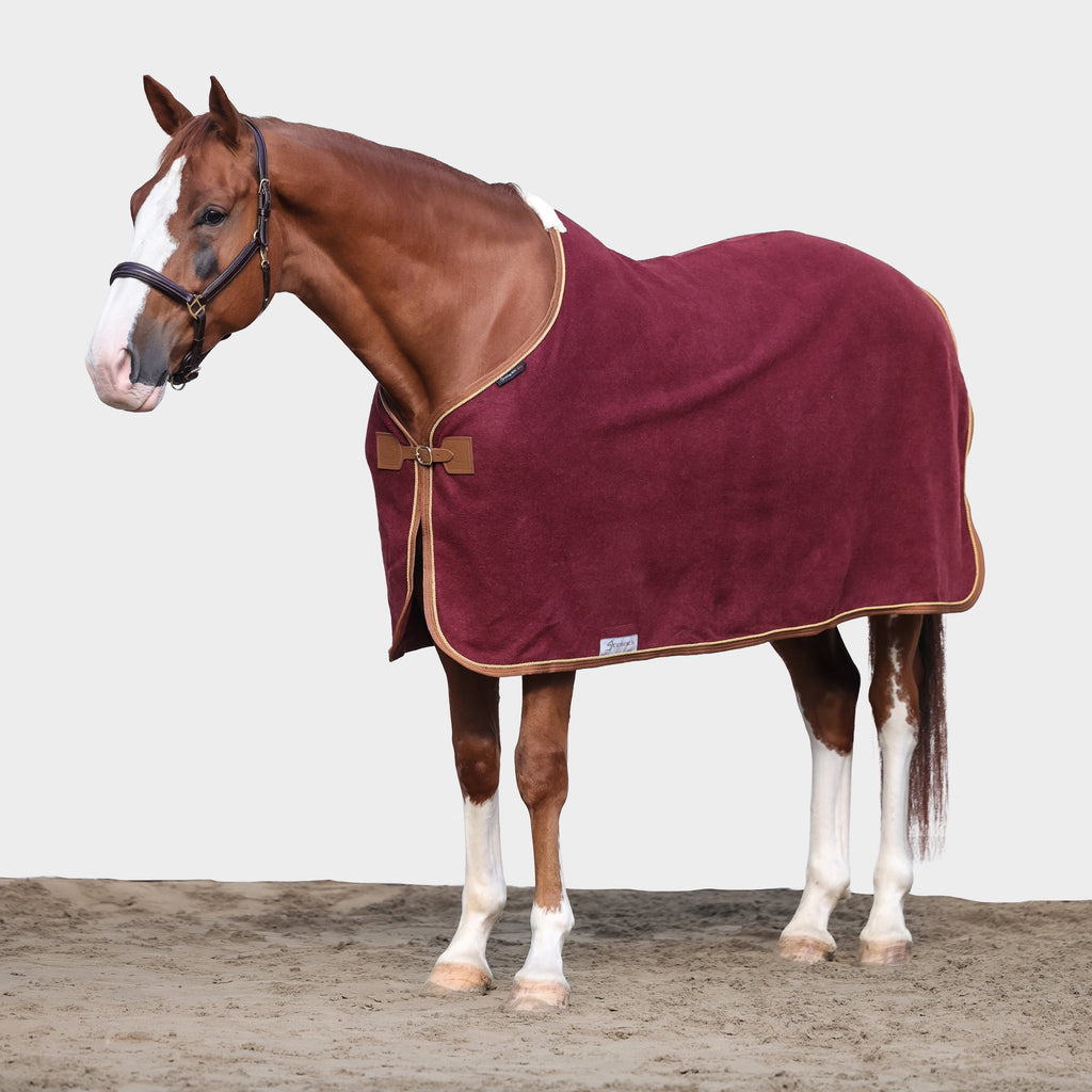Dominick Wool Rug Iconic