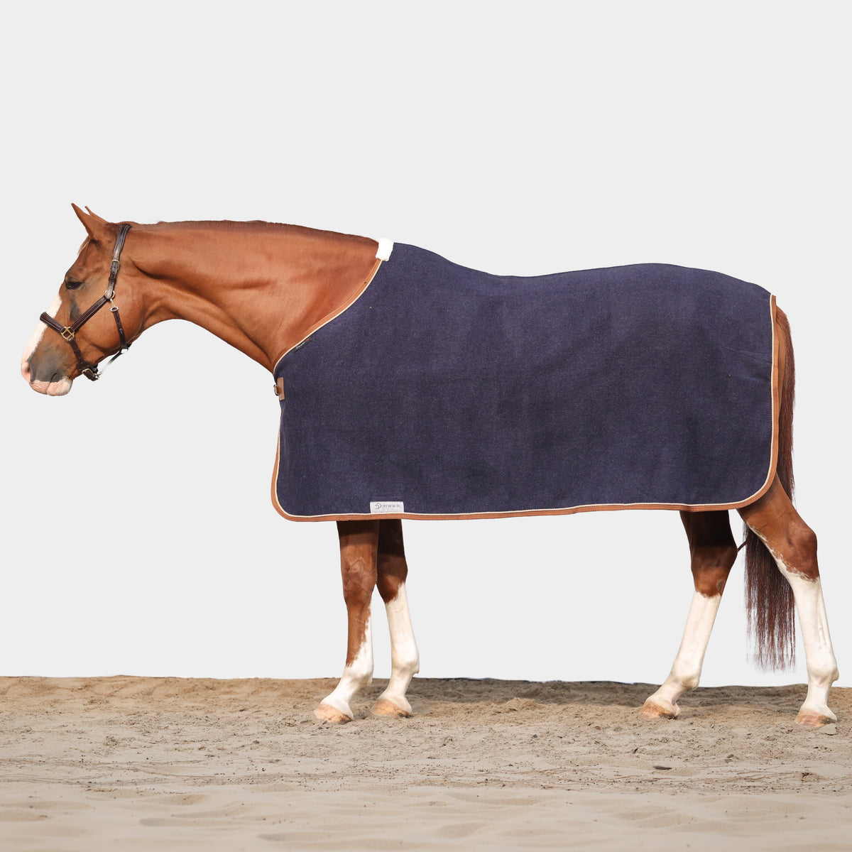 Dominick Wool Rug Iconic