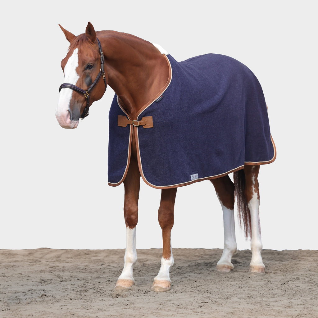 Dominick Wool Rug Iconic