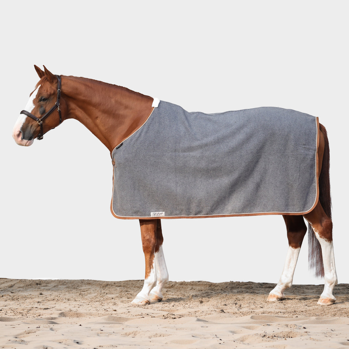 Dominick Wool Rug Iconic