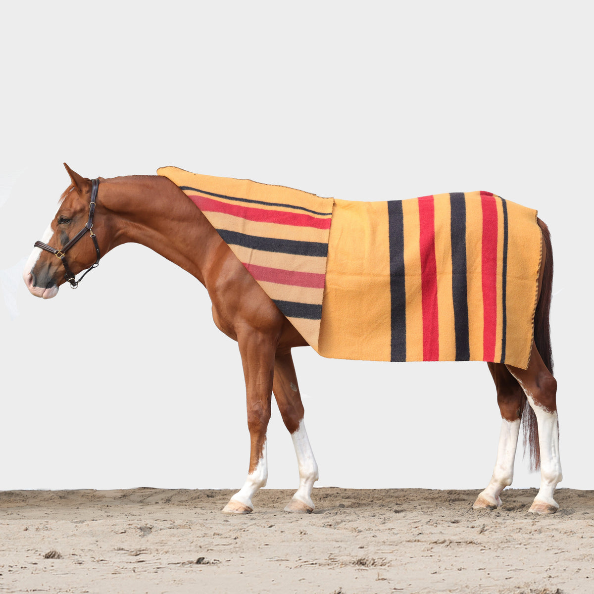 Dominick Golden Stripe Wollen deken