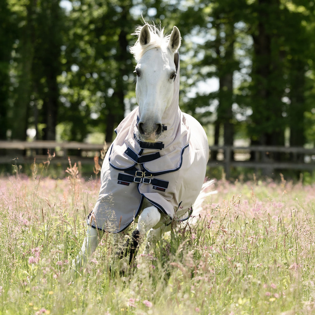 Dominick Vliegendeken + Halsdeel