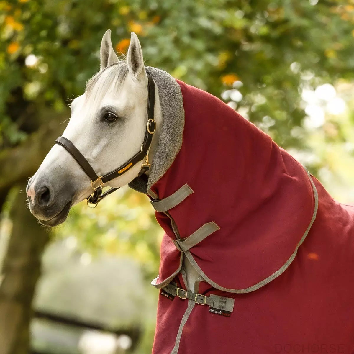 Dominick Halsdeel Cosy