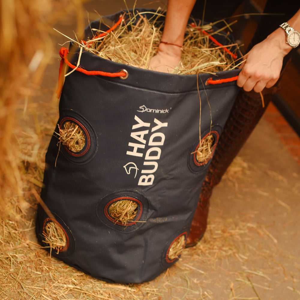 Dominick Hay Buddy