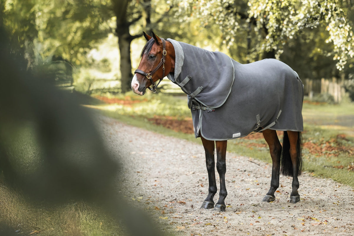 Dominick Cosy Fleece Rug in anthracite with matching neck
