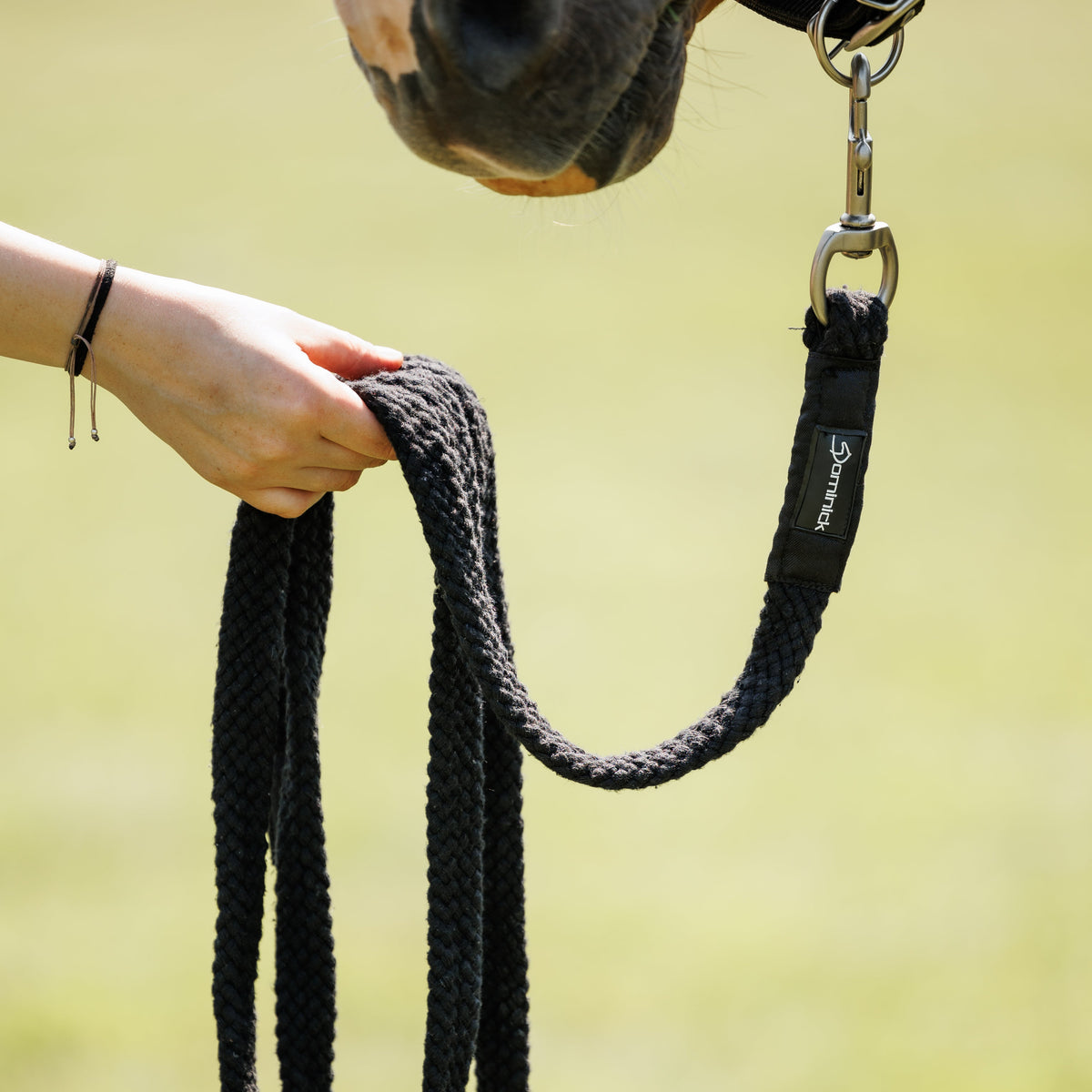Dominick lead rope Braided