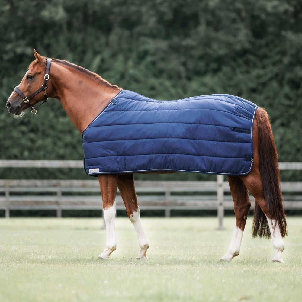 Dominick liner 100GR