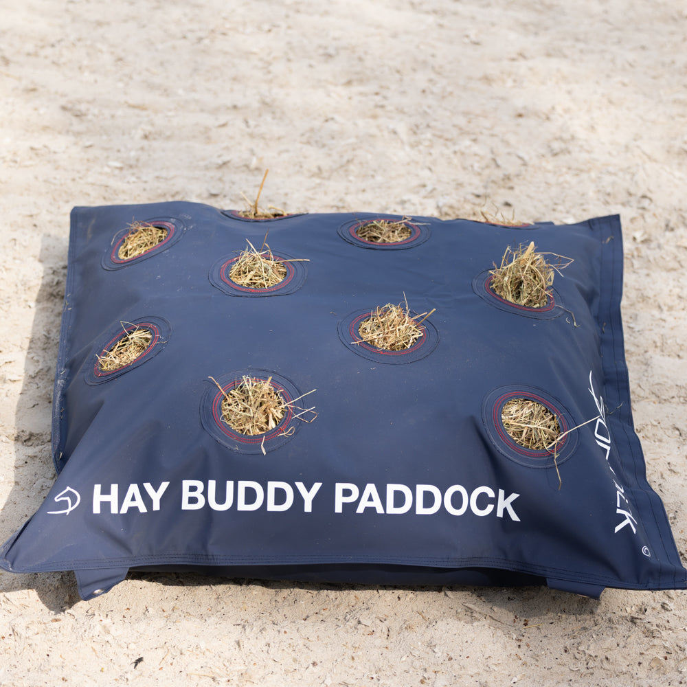 Dominick Hay Buddy Paddock