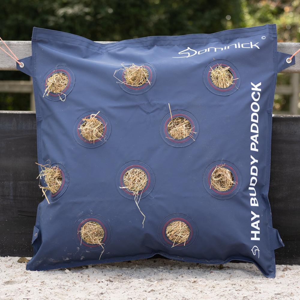 Dominick Hay Buddy Paddock